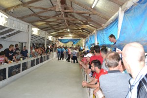 Partida decisiva na Vila Santo Antônio