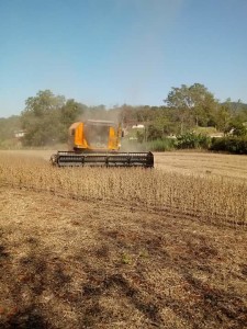 Prefeitura incentiva a produção primária