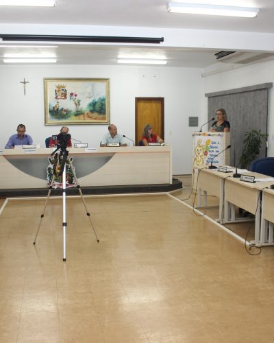 QUATRO PROJETOS DE LEI APROVADOS NA CÂMARA