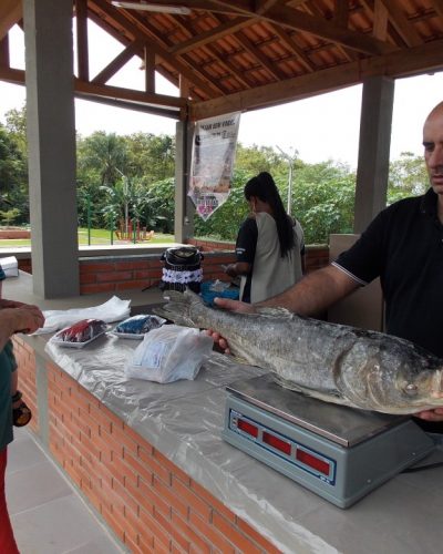 FEIRA DO PEIXE NA QUINTA E SEXTA-FEIRA SANTA