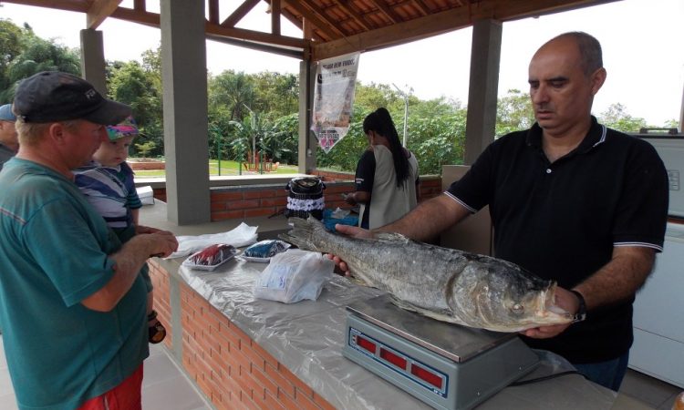 FEIRA DO PEIXE NA QUINTA E SEXTA-FEIRA SANTA