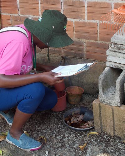 MUNICÍPIO SEM FOCOS DO MOSQUITO AEDES