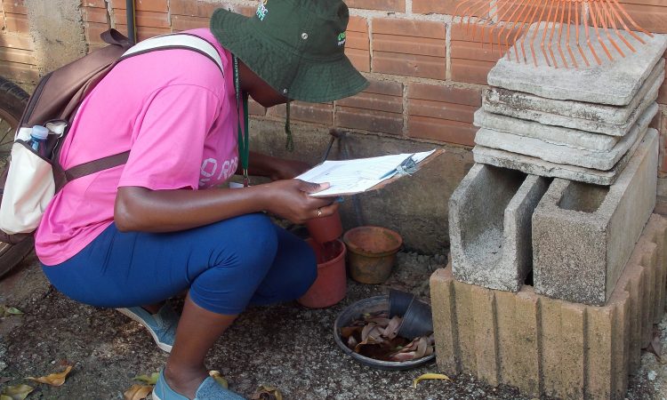 MUNICÍPIO SEM FOCOS DO MOSQUITO AEDES