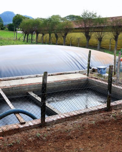 Biodigestores podem transformar dejetos de animais em energia