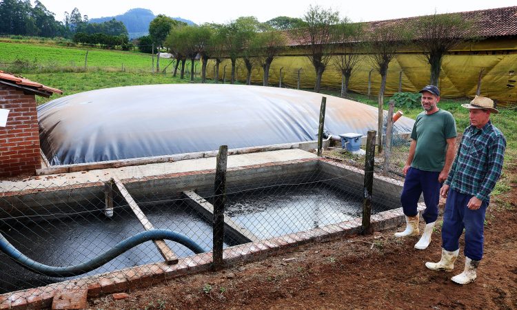 Biodigestores podem transformar dejetos de animais em energia