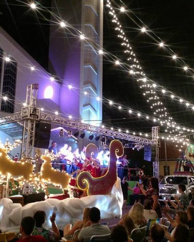 NATAL DAS ORQUÍDEAS TERÁ PALCO ABERTO