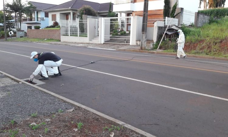 SAÚDE ATUA NO CONTROLE DE BARATAS