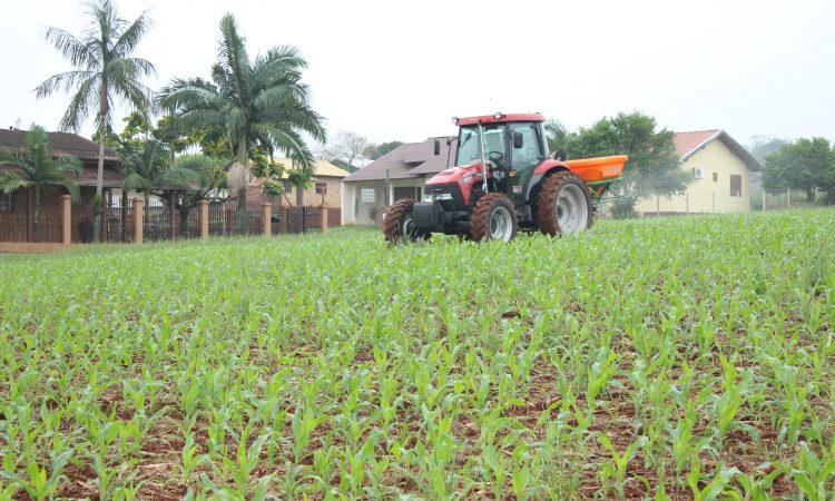 AGRICULTORES DEVEM SOLICITAR ISENÇÃO DO IPTU