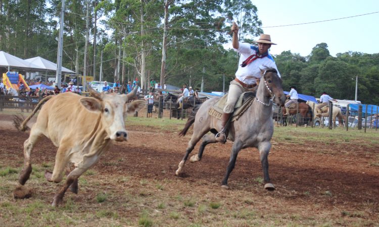 12º RODEIO CRIOULO A PARTIR DE HOJE EM SANTO ANTÔNIO