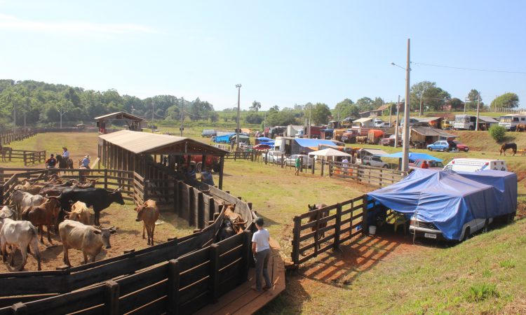 QUERÊNCIA DA MATA PREPARA RODEIO CRIOULO