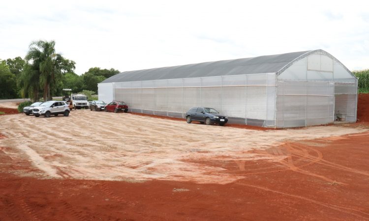 SS ORQUÍDEAS INICIA ATENDIMENTO NESTE SÁBADO