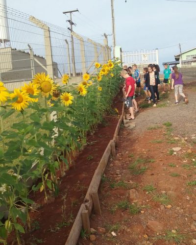 ALUNOS DESENVOLVEM PROJETO DE MEIO AMBIENTE