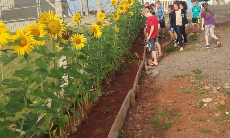 ALUNOS DESENVOLVEM PROJETO DE MEIO AMBIENTE