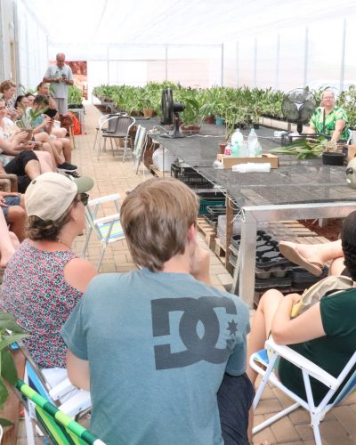 OFICINA DE CULTIVO DE ORQUÍDEAS EM FEVEREIRO