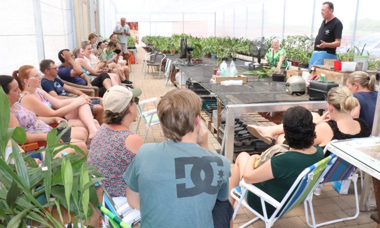 OFICINA DE CULTIVO DE ORQUÍDEAS EM FEVEREIRO