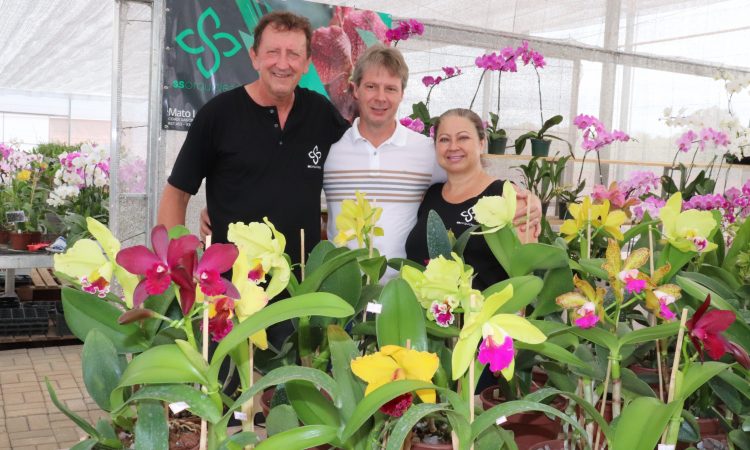 OFICINA DE CULTIVO DE ORQUÍDEAS NO DIA 26
