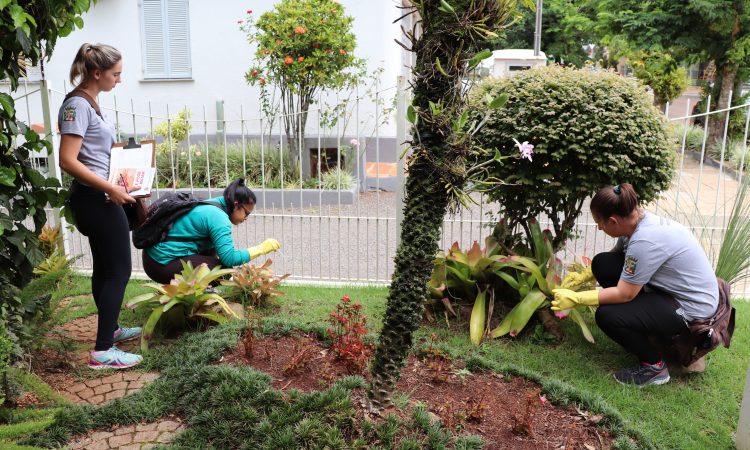 SAÚDE INTENSIFICA AÇÕES DE COMBATE AO AEDES