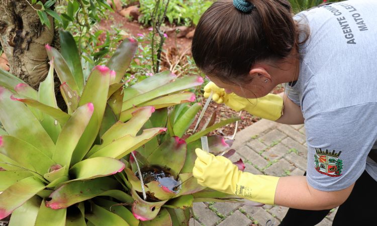 FISCALIZAÇÃO DA SAÚDE NÃO ENCONTRA FOCOS DO AEDES