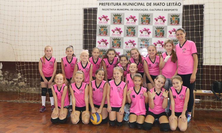 SEIS MUNICÍPIOS NO 2º FESTIVAL DE MINIVÔLEI