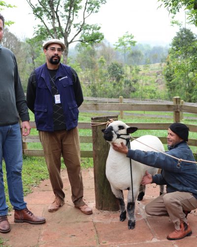 CABANHA BOM PASTOR É DESTAQUE NA EXPOINTER