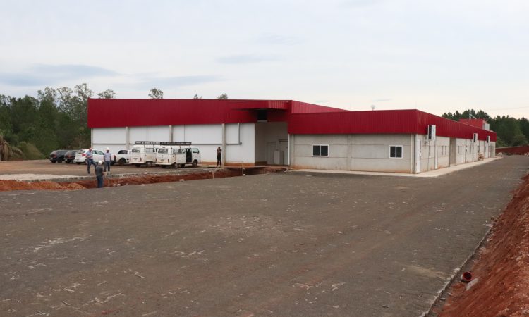 INCUBATÓRIO DEVERÁ INICIAR PRODUÇÃO EM SETEMBRO