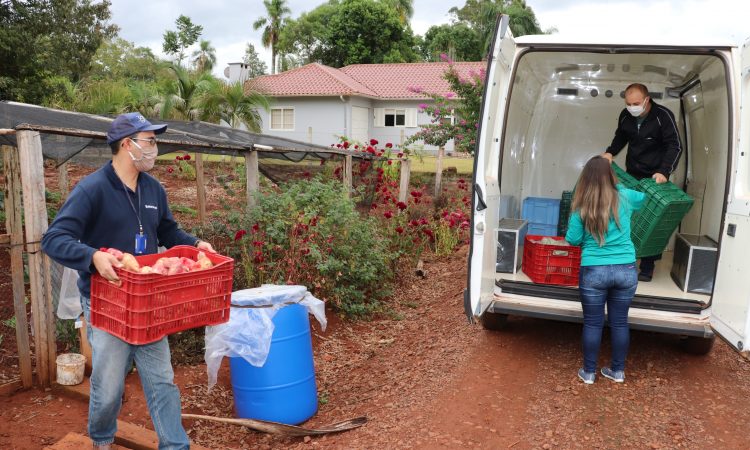 SEGUNDA ETAPA DE ENTREGA DOS KITS DE ALIMENTAÇÃO