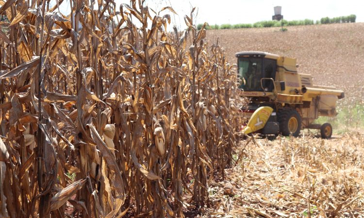 VALE INCENTIVO NA SECRETARIA DA AGRICULTURA