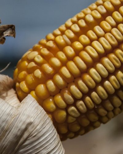 PEDIDOS DO TROCA-TROCA ATÉ AMANHÃ