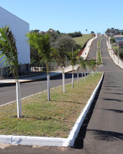 EMBELEZAMENTO DA AVENIDA ALFREDO PILZ