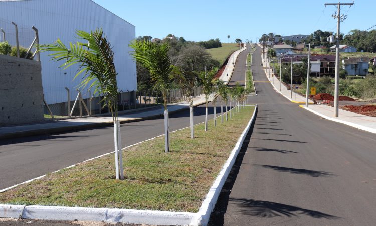 EMBELEZAMENTO DA AVENIDA ALFREDO PILZ