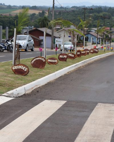 CATAVENTOS E CORUJA NA AVENIDA ALFREDO PILZ