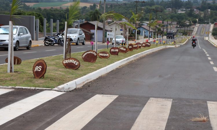 CATAVENTOS E CORUJA NA AVENIDA ALFREDO PILZ