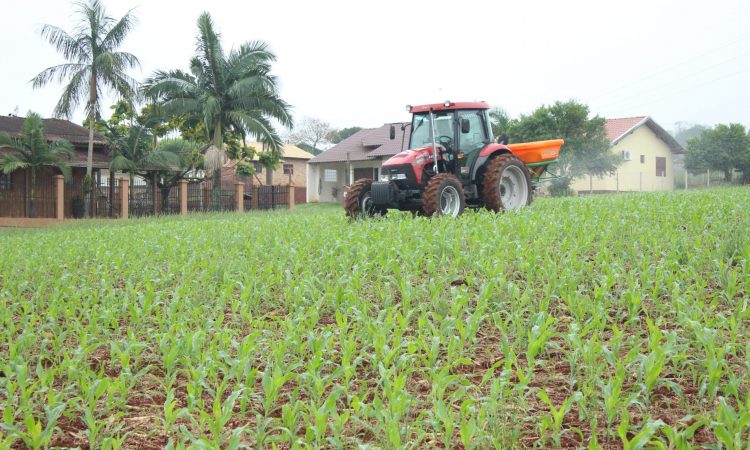 ISENÇÃO IPTU 2021 PARA AGRICULTORES ATÉ 30 DE NOVEMBRO