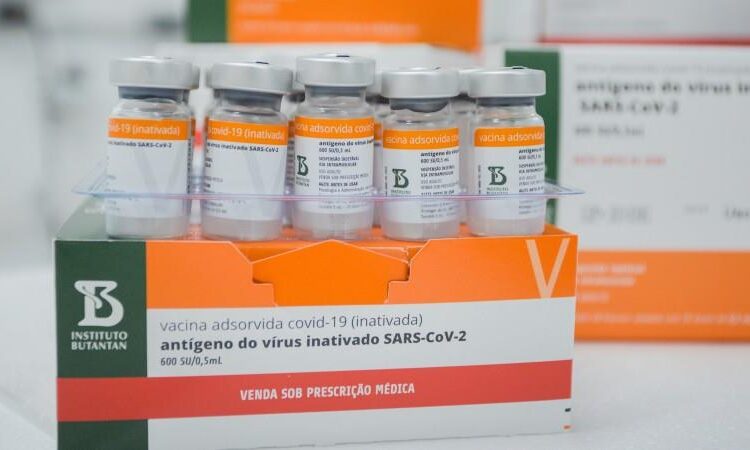 EDUCADORES RECEBEM VACINA CONTRA A COVID-19