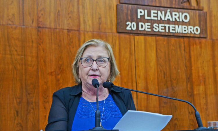 ZILA BREITENBACH INDICA EMENDA DE R$ 100 MIL NA SAÚDE