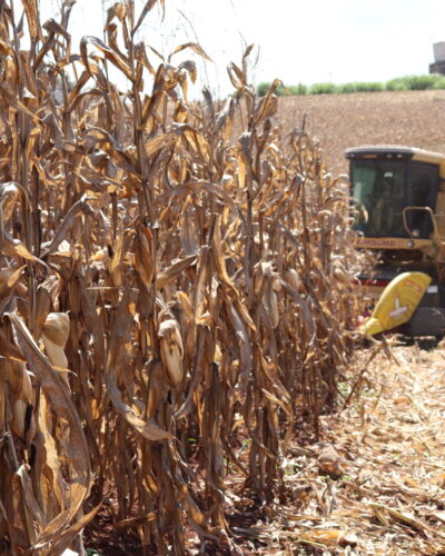 VALE INCENTIVO 2021 DISPONÍVEL PARA AGRICULTORES