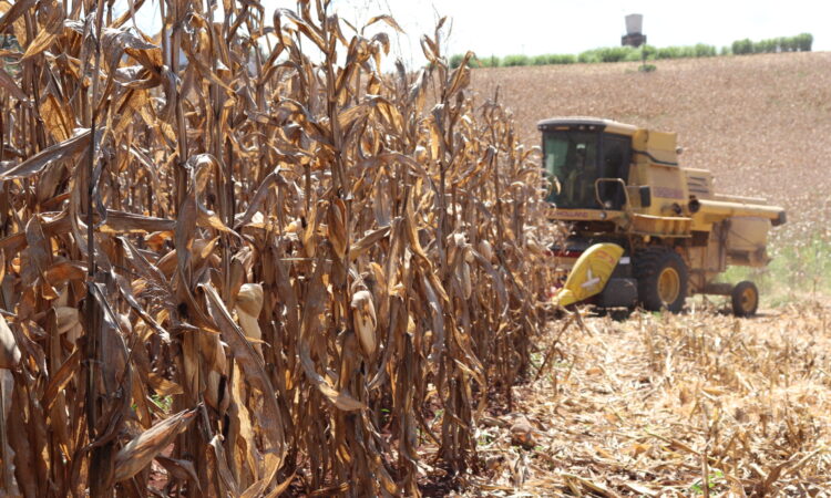 VALE INCENTIVO 2021 DISPONÍVEL PARA AGRICULTORES