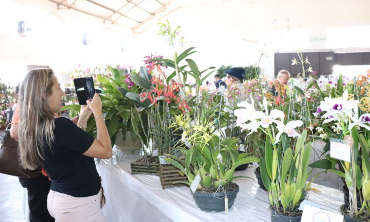 PROJETO PREVÊ CRIAÇÃO DO FUNDO MUNICIPAL DE TURISMO