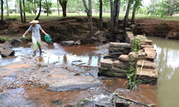 NOVA ETAPA NO CONTROLE DO BORRACHUDO E BARATAS