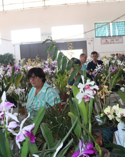 EM DEZEMBRO, 13ª EXPOSIÇÃO ESTADUAL DE ORQUÍDEAS NA SEUBV