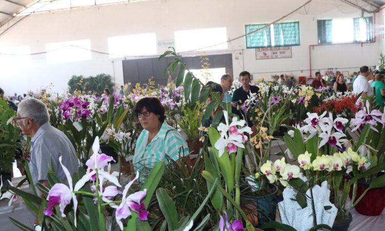 EM DEZEMBRO, 13ª EXPOSIÇÃO ESTADUAL DE ORQUÍDEAS NA SEUBV