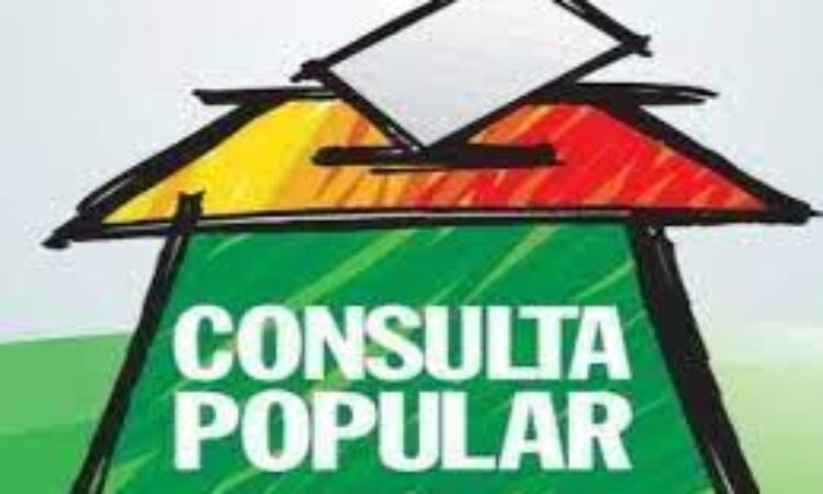 RECURSO DA CONSULTA POPULAR EM VOTAÇÃO NA CÂMARA