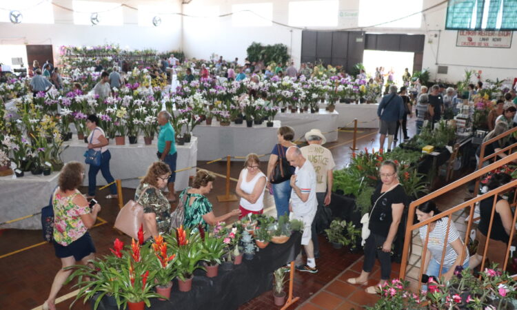 EXPOSIÇÃO ESTADUAL DE ORQUÍDEAS A PARTIR DE AMANHÃ NA SEUBV