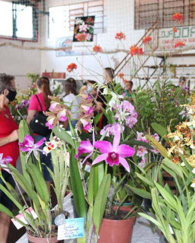 EXPOSIÇÃO ESTADUAL REÚNE MAIS DE 700 ORQUÍDEAS