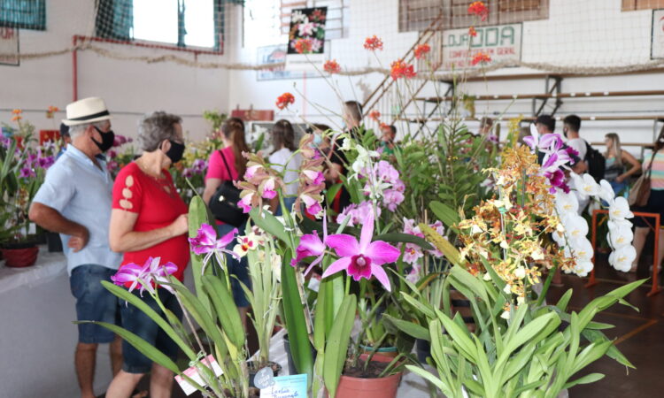 EXPOSIÇÃO ESTADUAL REÚNE MAIS DE 700 ORQUÍDEAS