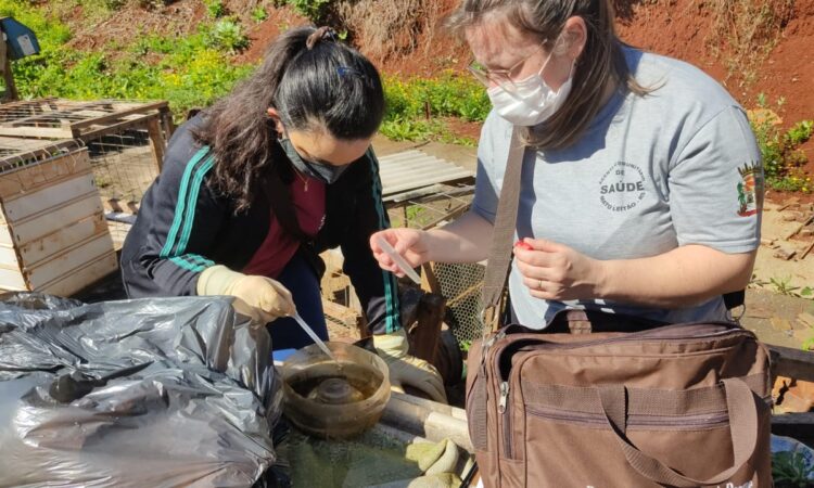 DENGUE: CUIDADOS DEVEM SER REFORÇADOS NO VERÃO