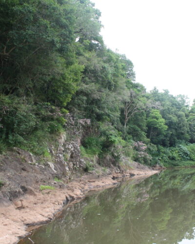 ARROIO SAMPAIO INTEGRA PROJETO AMBIENTAL ‘VIVER CIDADES’