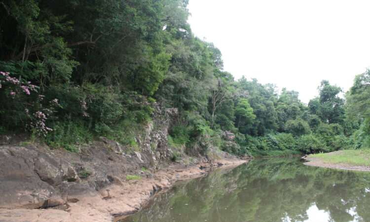 ARROIO SAMPAIO INTEGRA PROJETO AMBIENTAL ‘VIVER CIDADES’