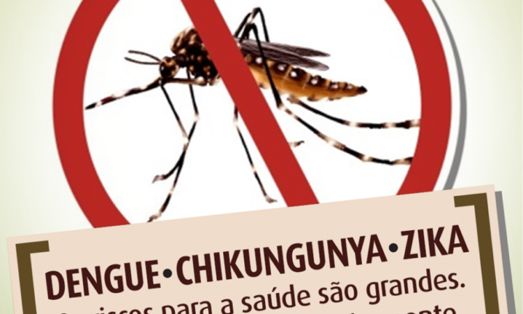 SAÚDE CONFIRMA CASO POSITIVO DE DENGUE