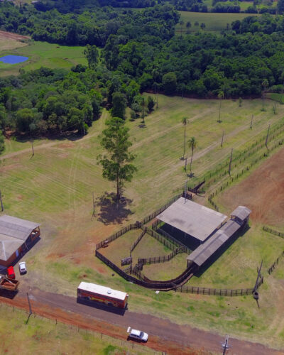 AÇÃO DE INCLUSÃO SOCIAL NO PARQUE MUNICIPAL DAS ORQUÍDEAS